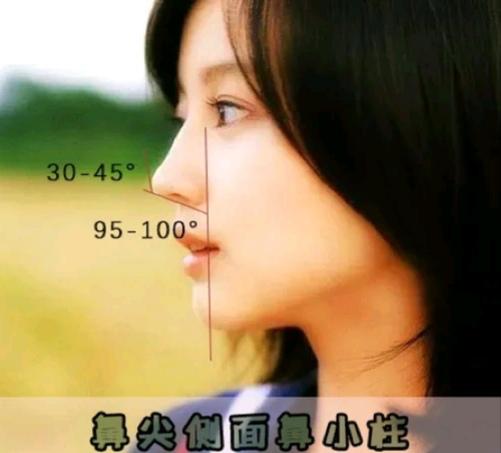 好看鼻子的七个标准，增添颜值还有辨识度，看你中了几条？