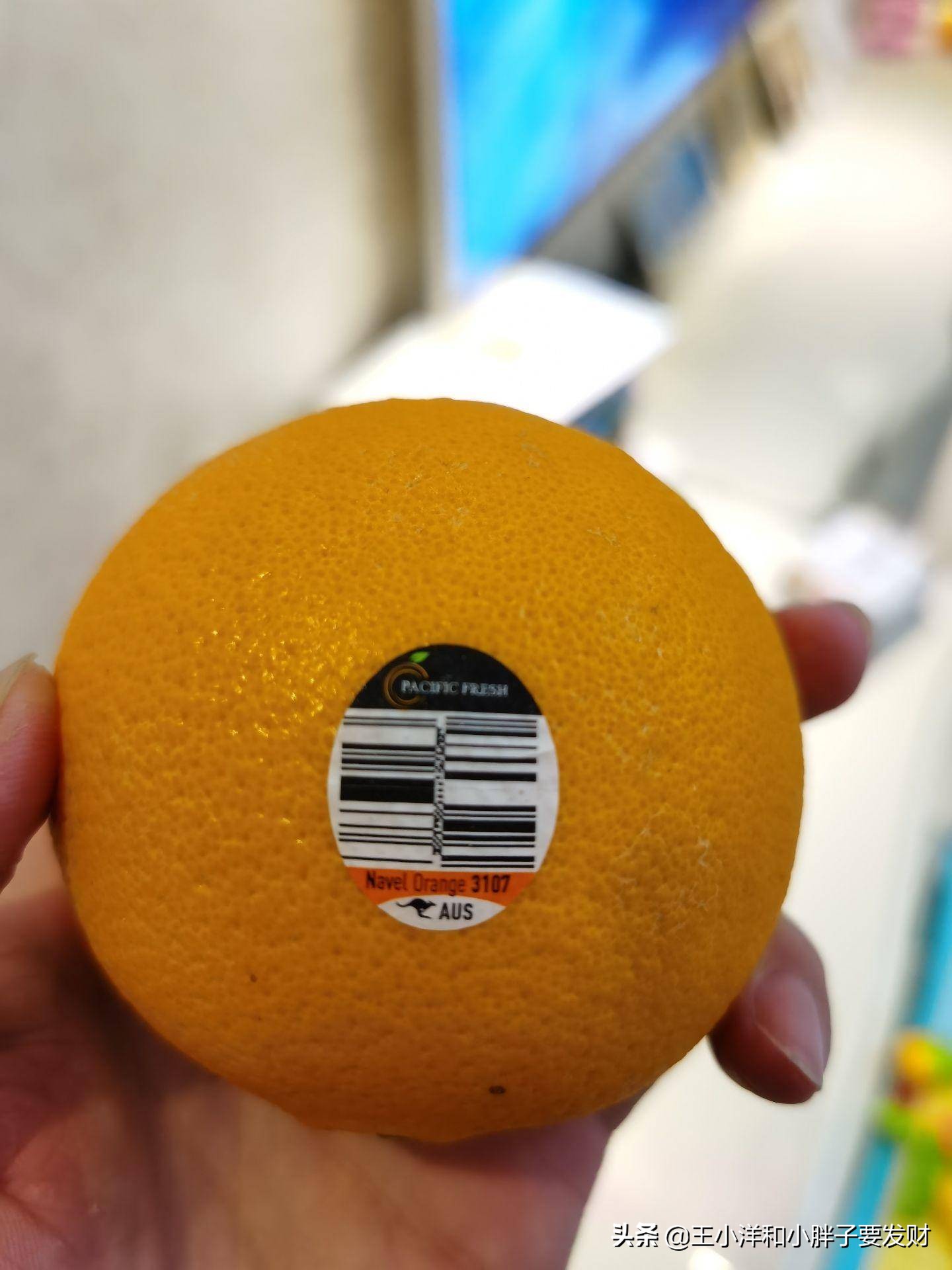 姗欐剰鍒嗕韩濂界墿,姗欐剰濂界墿鍒嗕韩