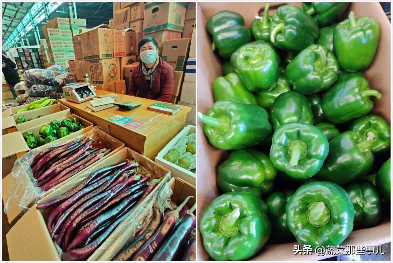 今日上海江桥带壳鲜蚕豆批发价,上海江桥蔬菜批发市场运输蚕豆