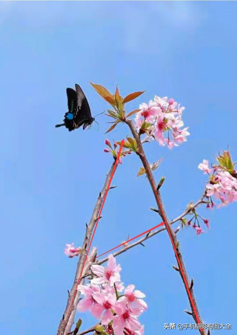 24-70拍人像使用技巧,24种手机拍摄技巧图片