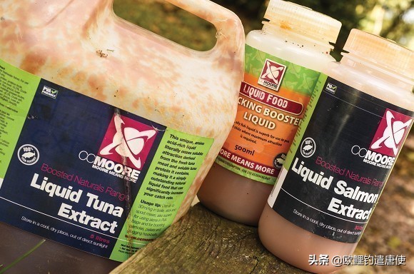 话说欧鲤之钓组篇,话说欧鲤钓