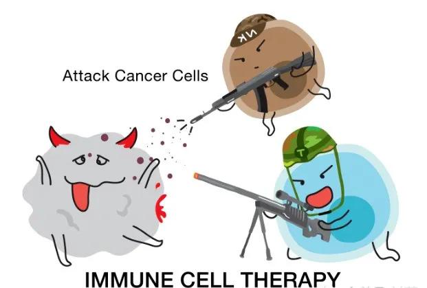 nk免疫细胞治什么病,nk免疫细胞治疗癌症的靠谱吗