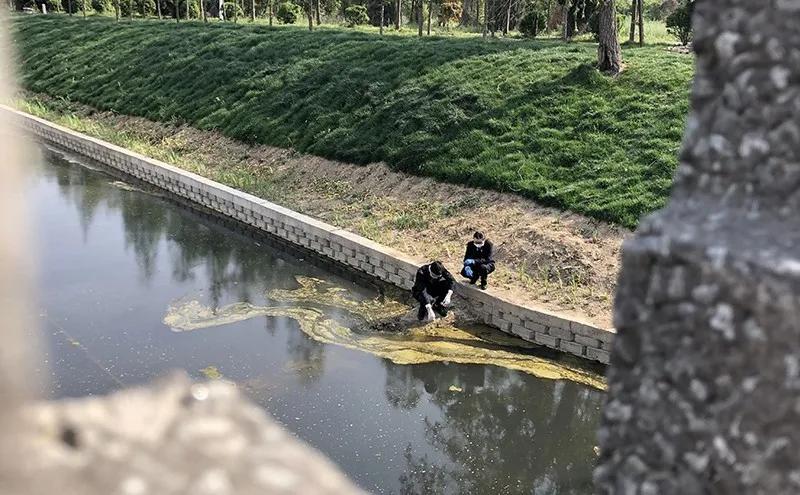 【基层动态】埇桥|公益诉讼:快速检测实验室上线“发威”!