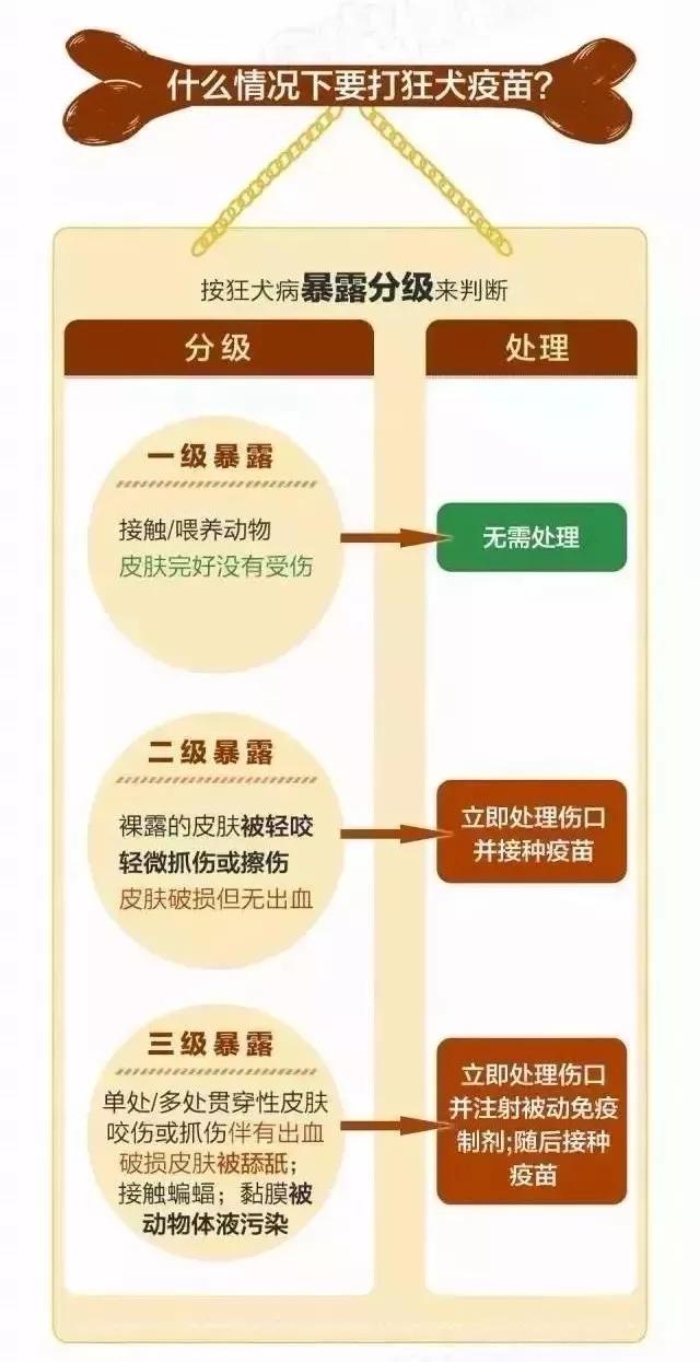 暑假安全隐患多！孩子被狗咬怎么办？除了去医院这3步家长要知道