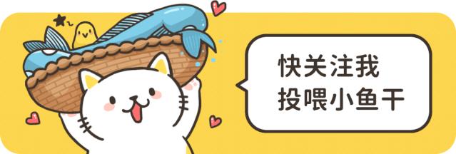 盘点养猫迷惑行为,养猫指南中的迷惑行为