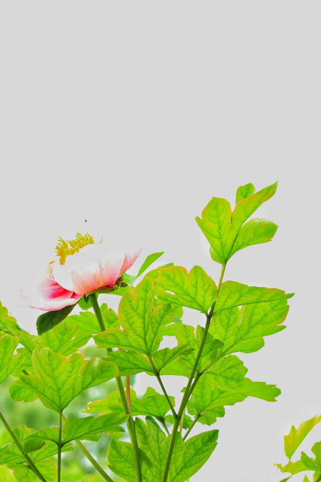 行走在路上寻找诗和远方,行走中有诗和远方