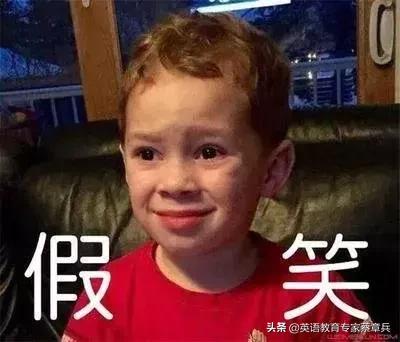 getface怎么用,gotface