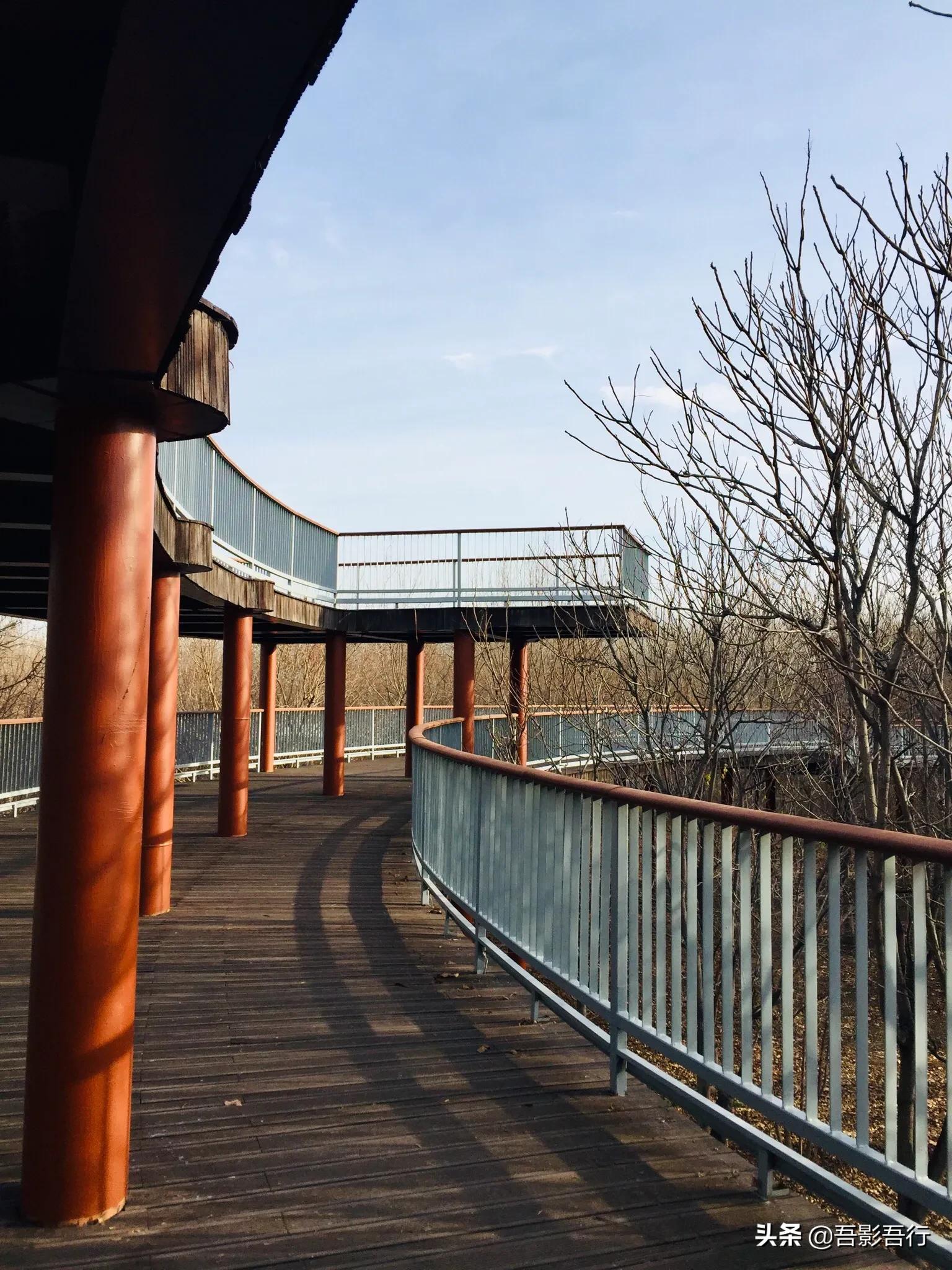 武清津北森林公园有哪些景色,天津武清森林公园开放时间表