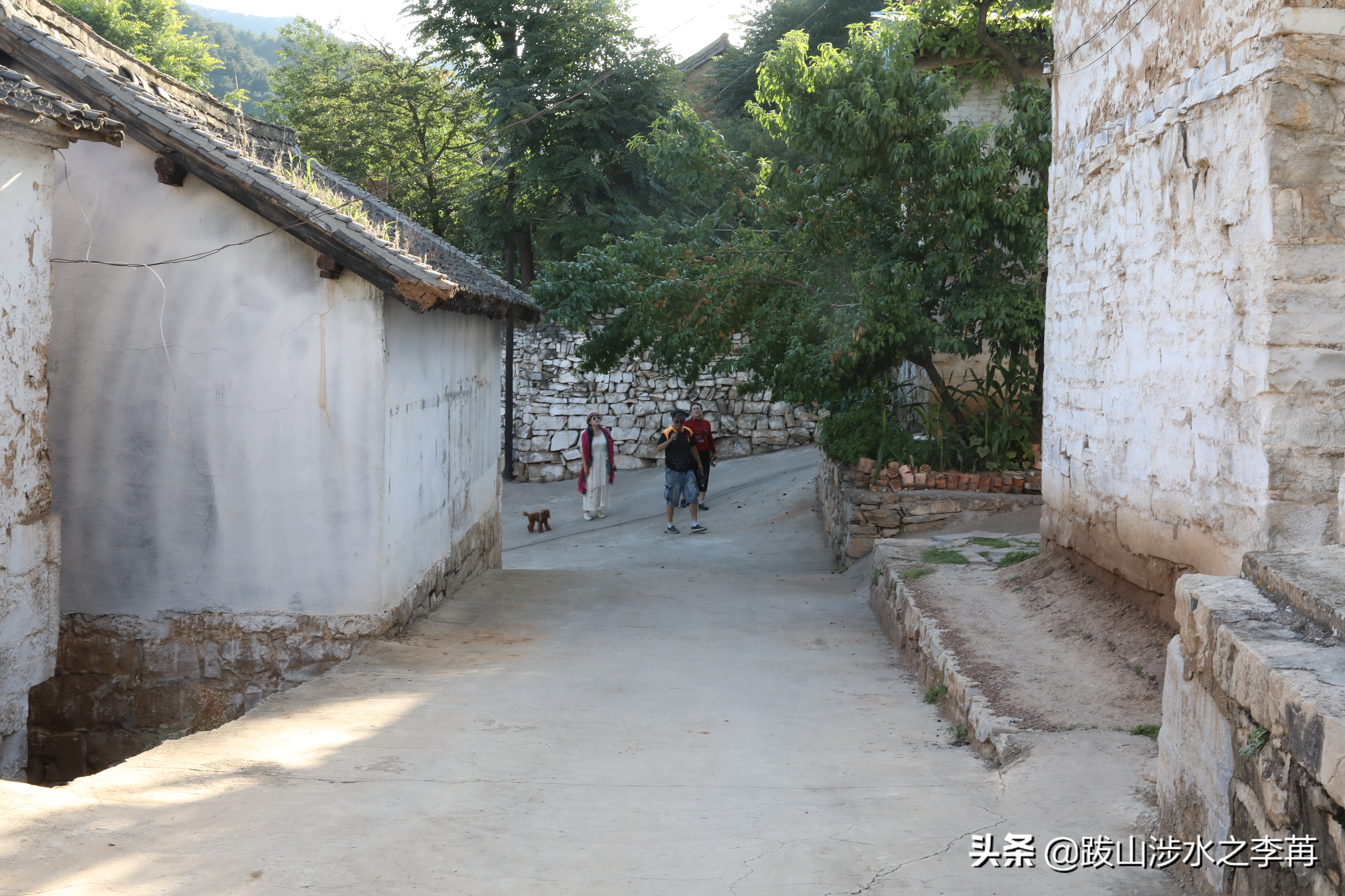 山西陵川一条沟,山西晋城白毛女