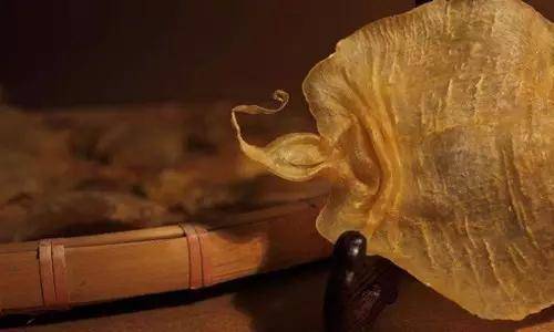 鱼胶知识大全视频,最全常识看完涨知识