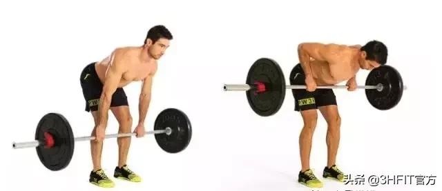 最好的背部训练动作是什么,最好的背部训练动作绳索划船