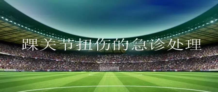 踝关节扭伤注意事项,踝关节扭伤的治疗原则