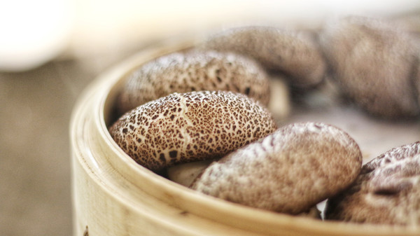 三大两小广州长隆酒店套票,广州长隆有哪些玩乐项目