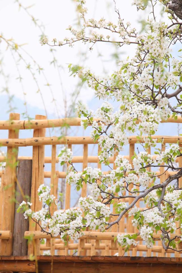 鞍山旅游攻略必玩的景点温泉,鞍山千山泡温泉攻略