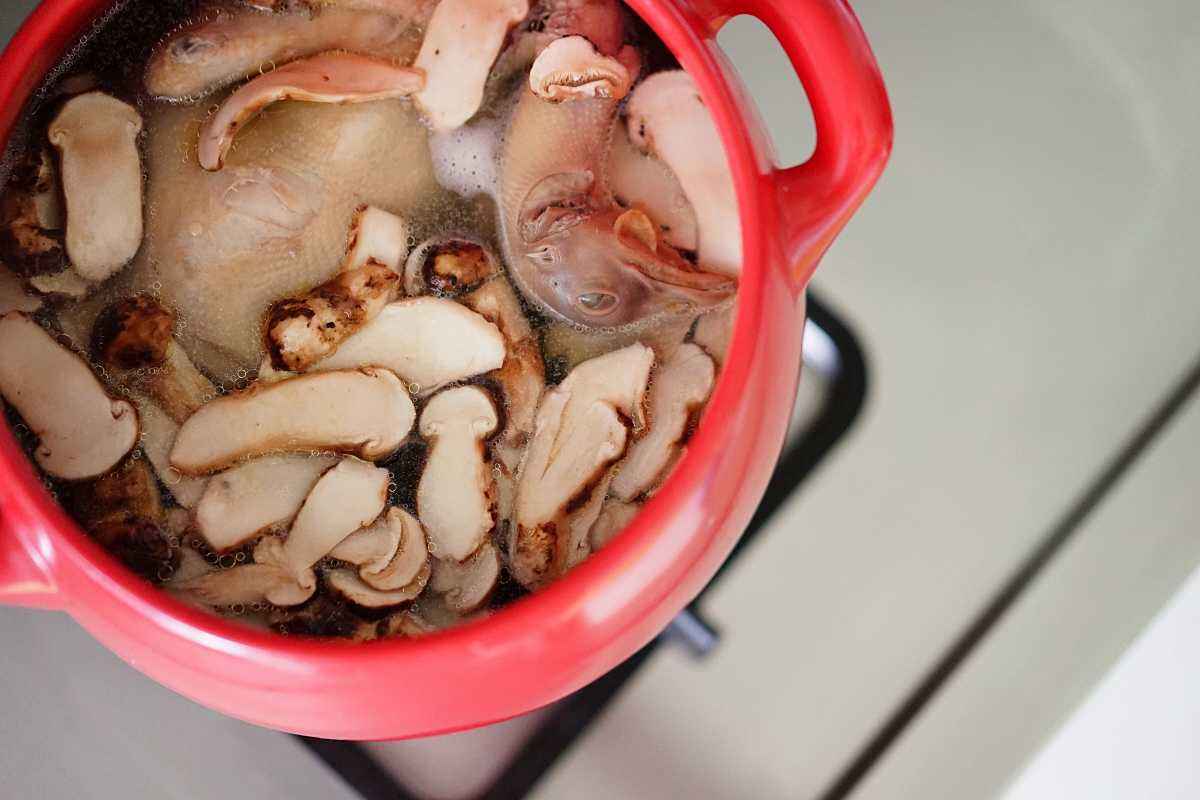 新鲜松茸菇炖鸡最佳做法,教你做松茸炖鸡汤