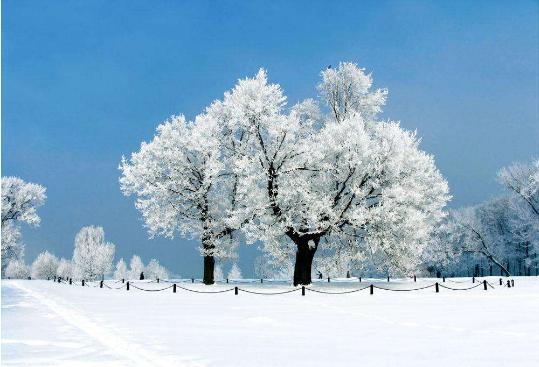 数九歌今年啥时开始数九,数九的第一天你知道数九歌吗