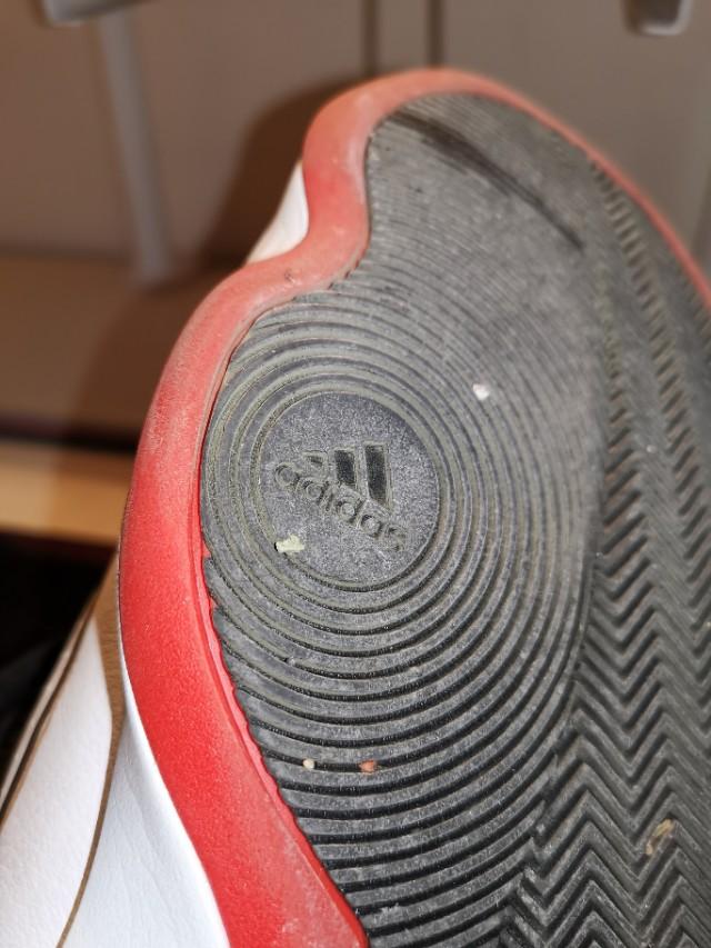 罗斯玫瑰战靴,玫瑰十年