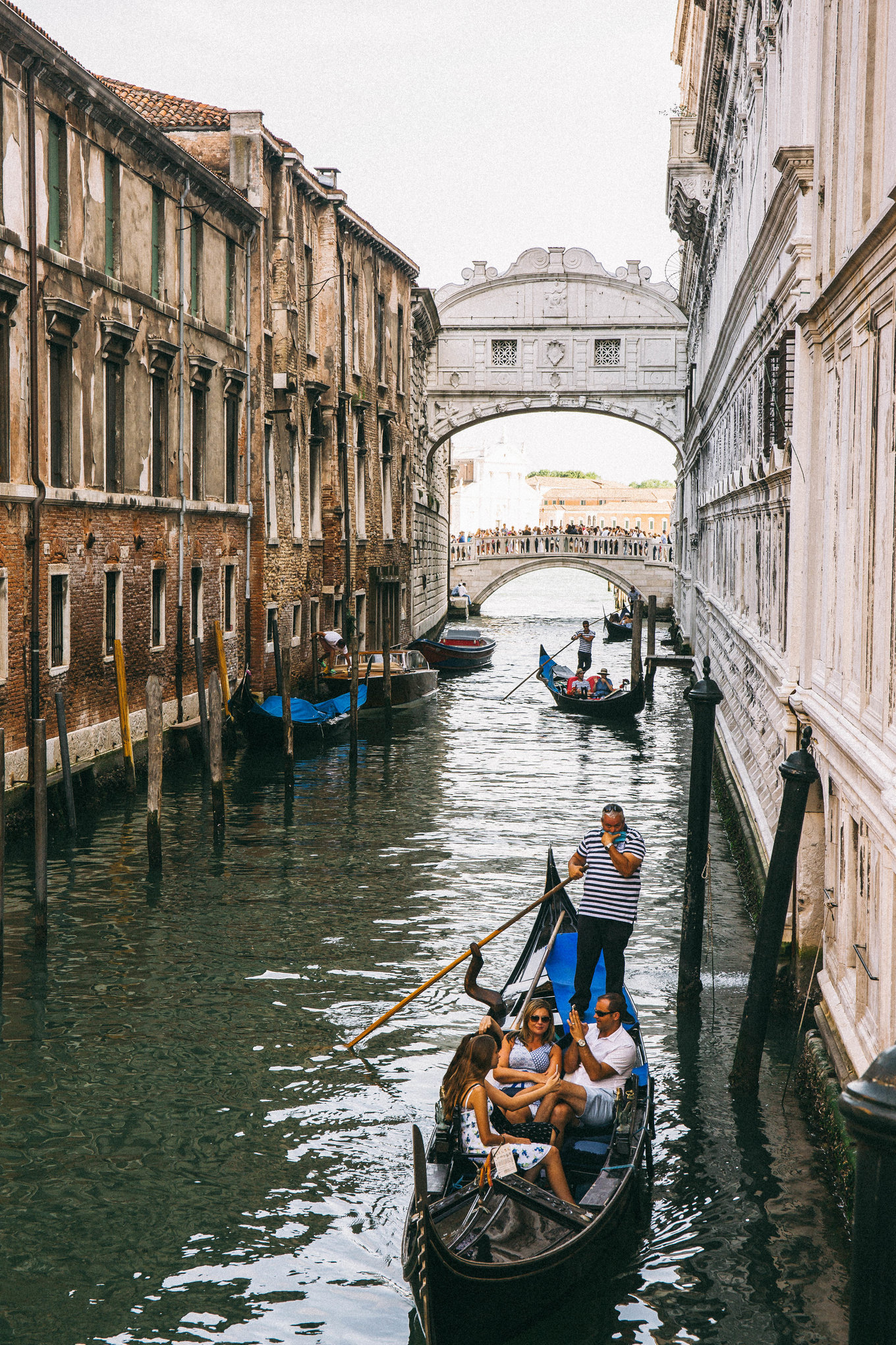 周庄被称为,古镇周庄坐船能看到什么样的风景