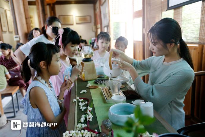茉莉花怎么耐晒,一年开花300天养不死的花