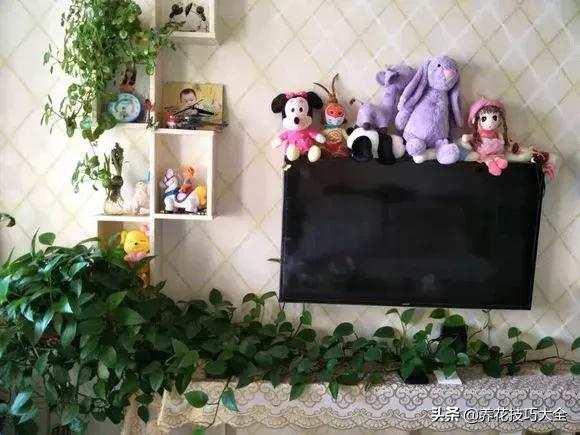 绿萝不花钱怎么可以养得更旺盛,绿萝水养放什么长得快