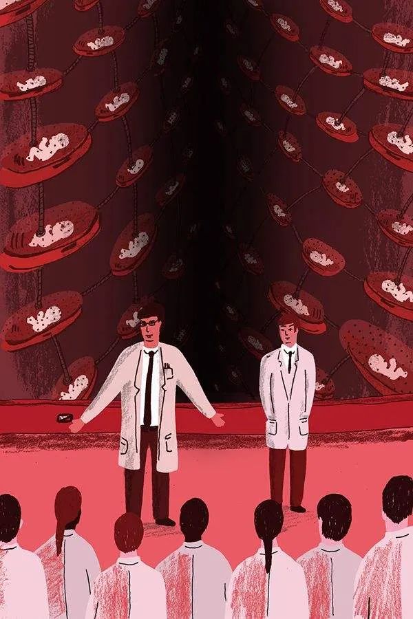 美丽新世界无白光,美丽新世界四季原本的样子