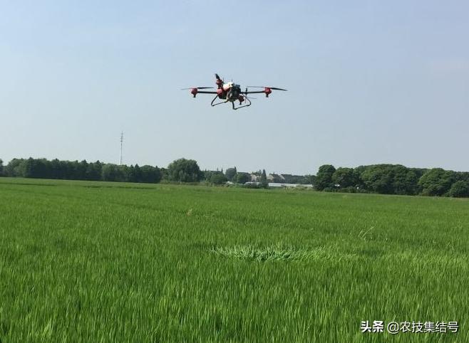打药下雨怎么处理,打药下雨了药还有效吗