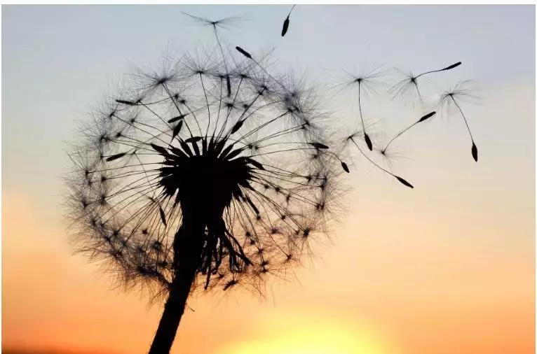 入境海关补税处罚标准,入境不主动报税承担什么后果