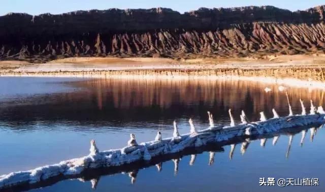 *疆新**克州，向全世界发出邀请！即将涌来大批人马