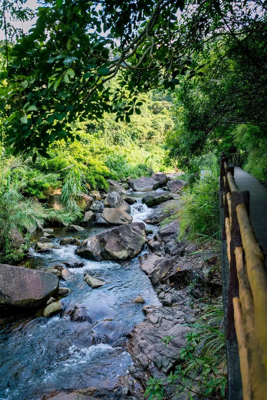 深圳值得去的地标,深圳值得去的景点排行榜