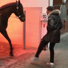 托马斯穆勒厉害在哪儿,托马斯穆勒是球霸吗