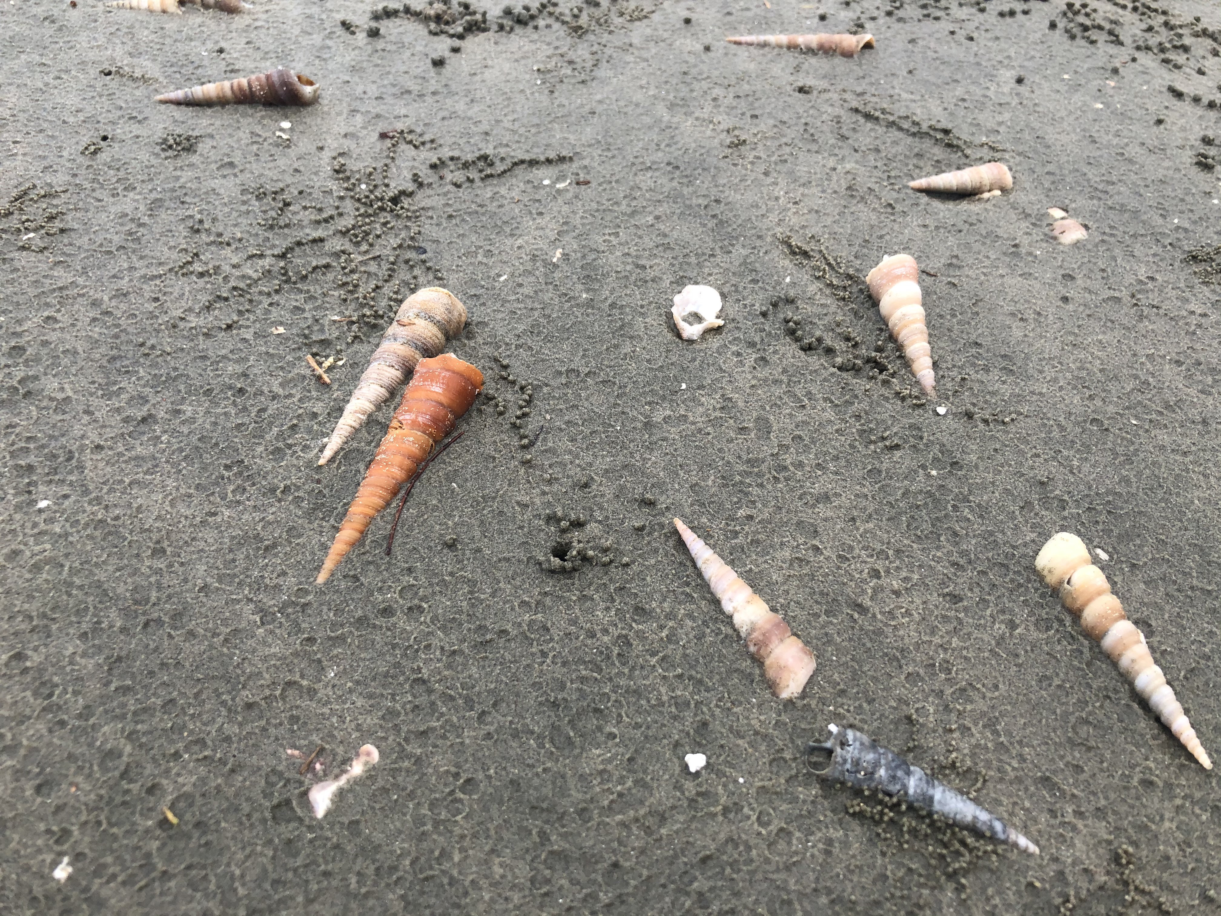 北海跟团游陷阱,低价北海旅游团套路