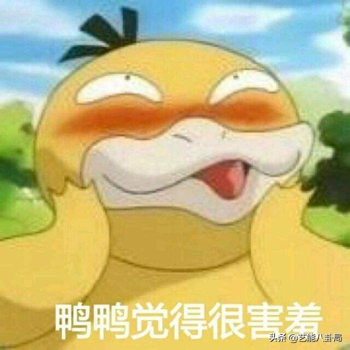 王思聪在哪家买的鸭子,王思聪为什么养鸭