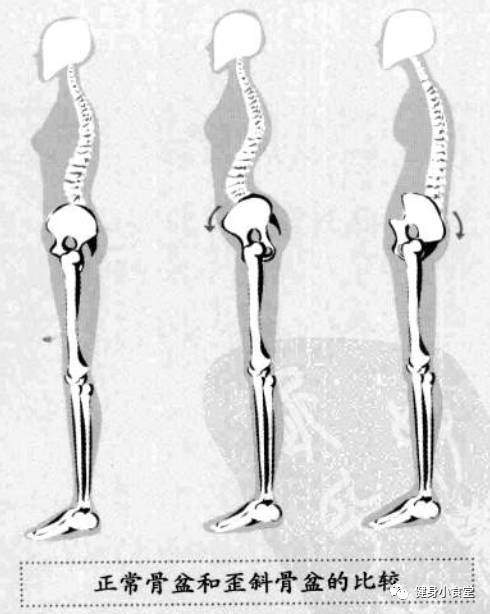 最有效的翘臀深蹲,深蹲训练翘臀视频