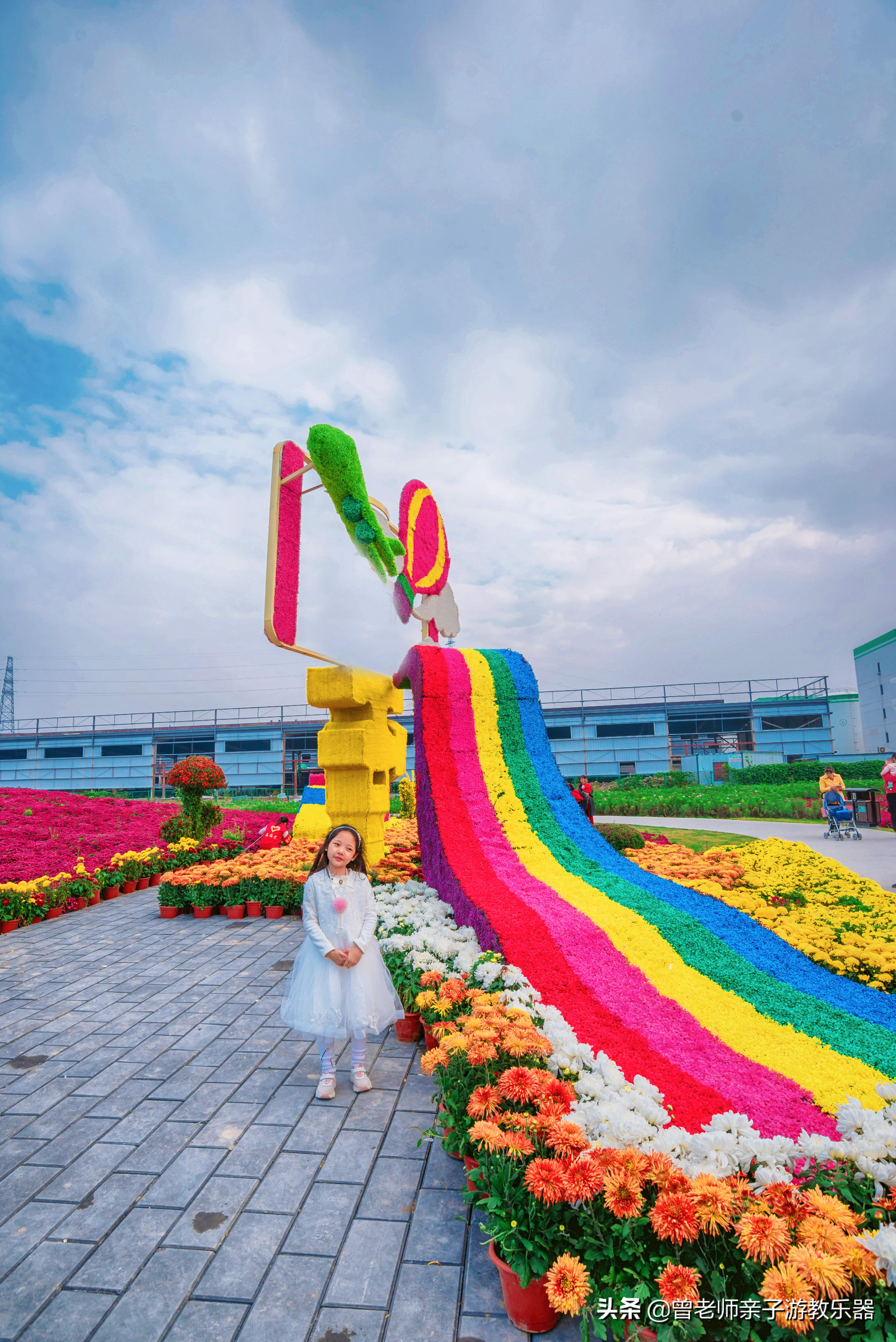 爱菊研学游,爱菊丝路文化菊花园西安