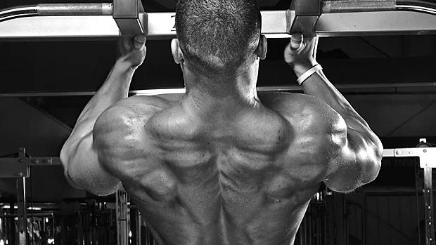 健身新手受益最大的几个动作,健身新手要做到力竭吗