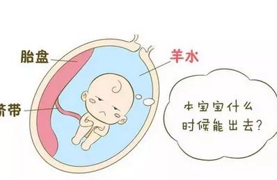 羊水过少会对胎儿有哪些影响,羊水过少喝什么药