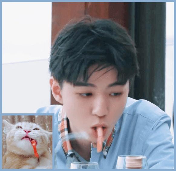 明星大撞脸你看哪个最像,明星撞脸对比