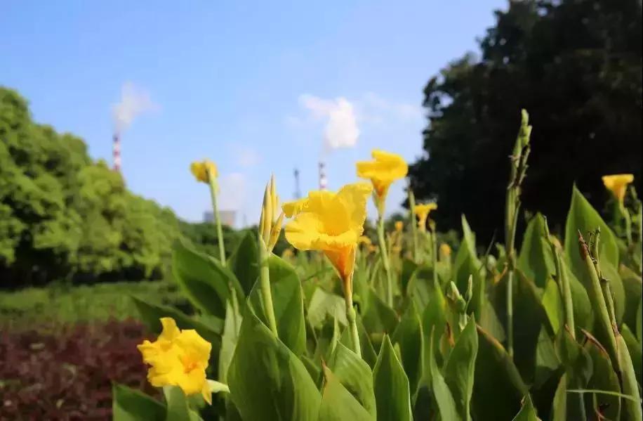 重组两年了，武钢现在还好吗？