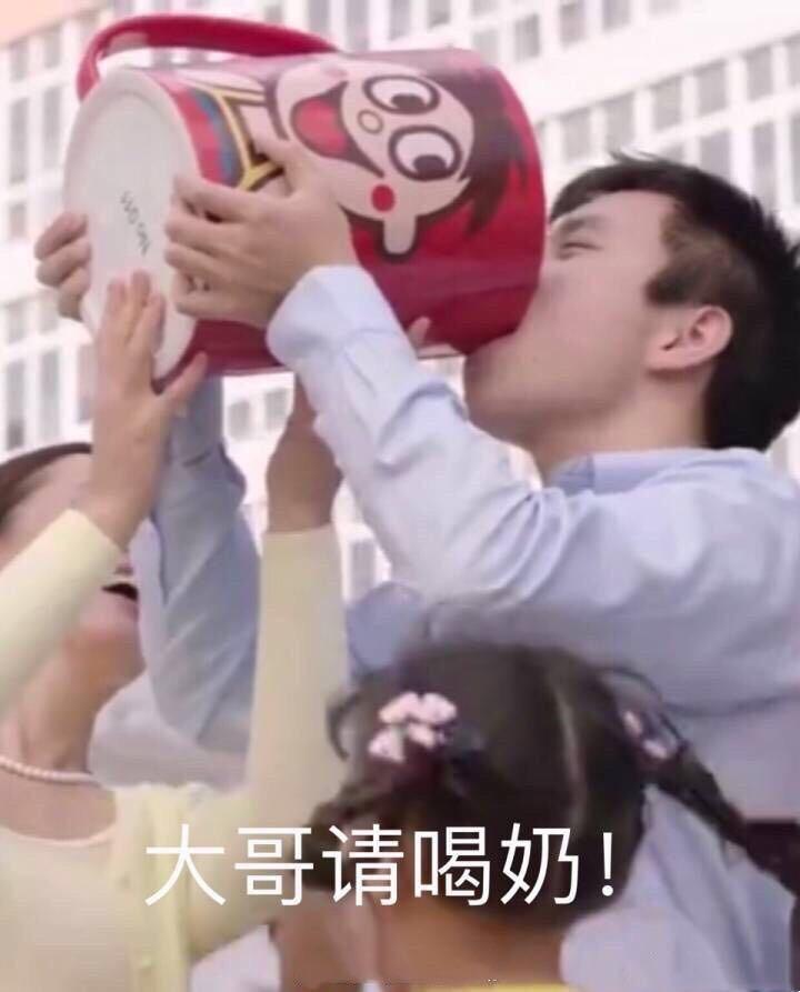 wildfieldhealth蛋白粉测评,wildfieldhealth牌子如何