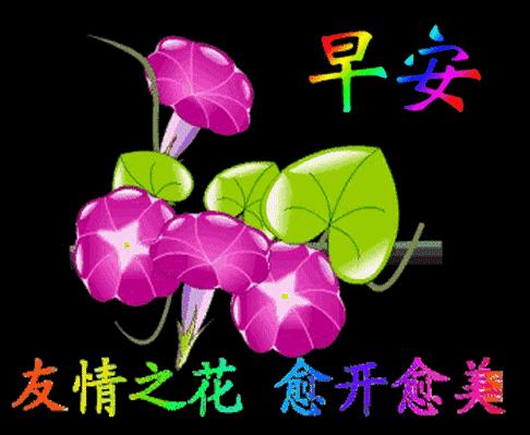 最美的早上好的问候语表情图,最美早晨问候祝福语图