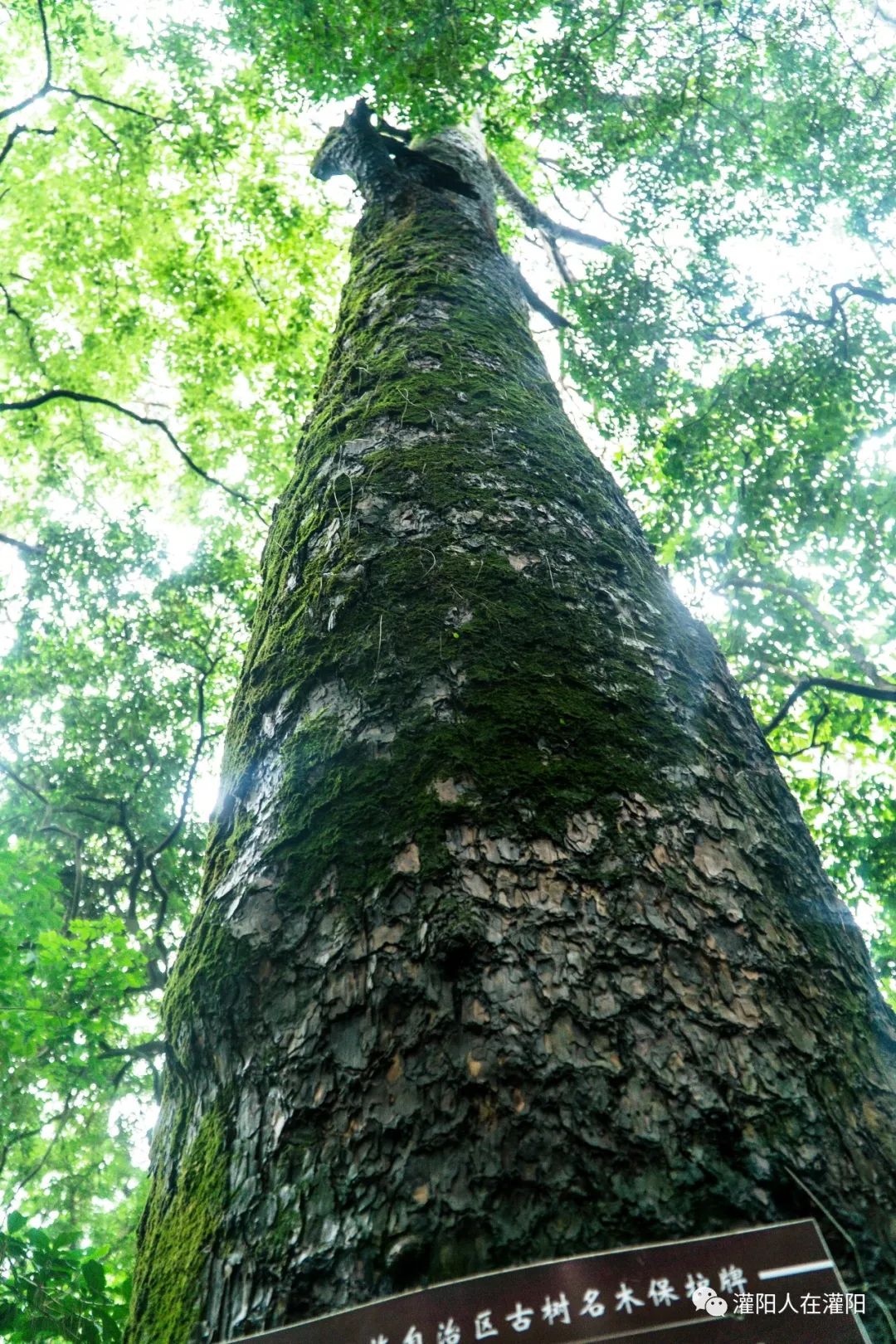 广西桂林灌阳县旅游,灌阳人在柳州