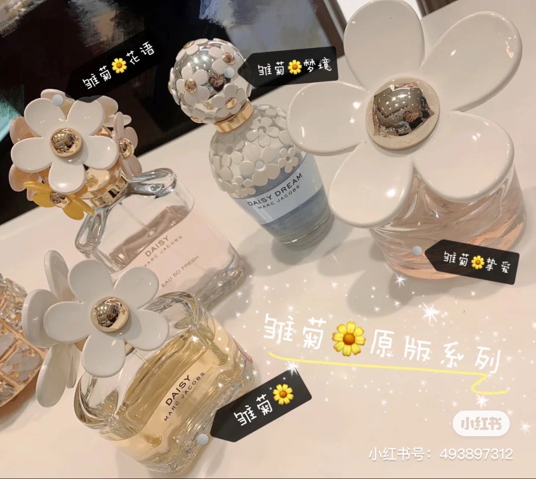 小雏菊带香味,小雏菊花果香