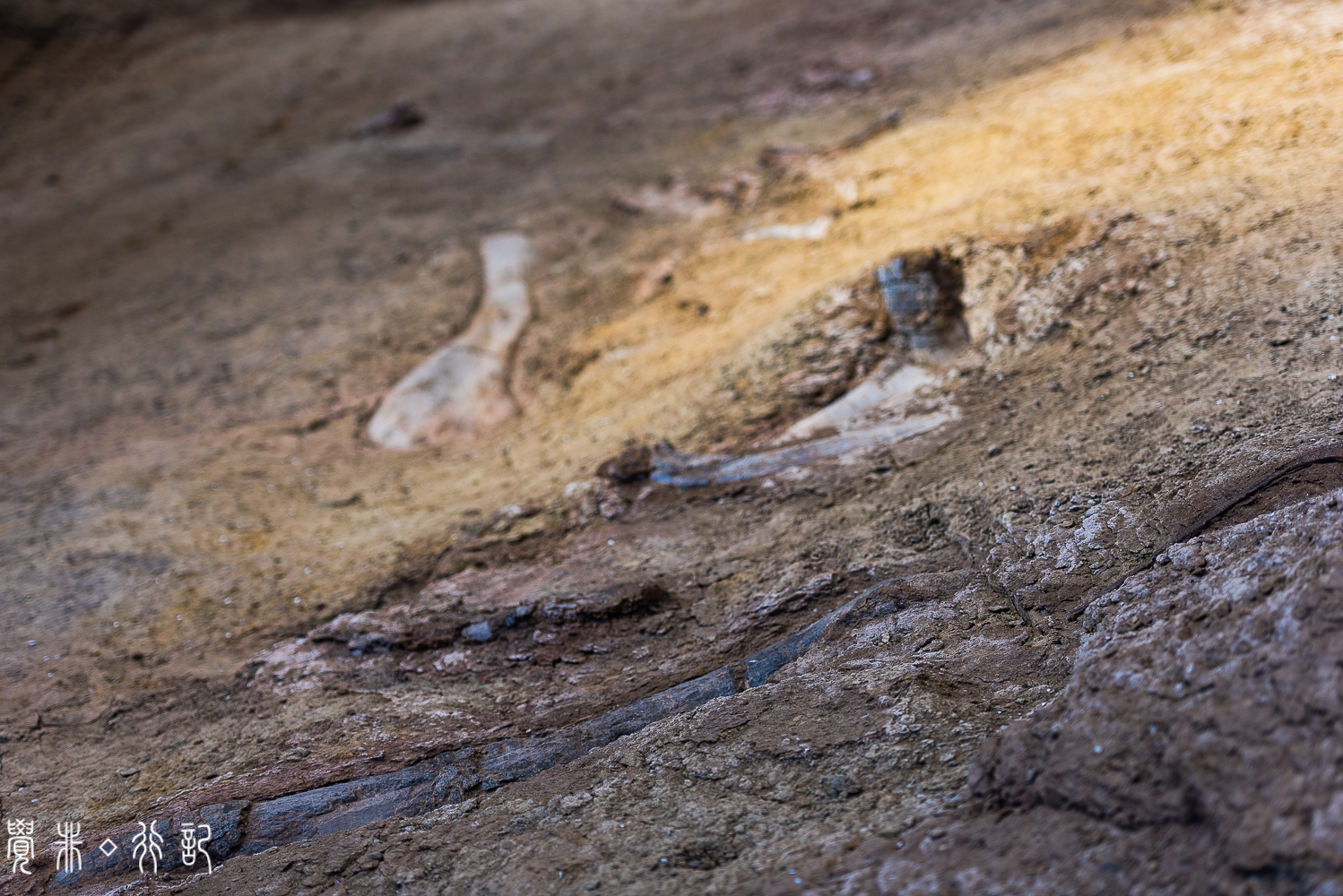 莱阳白垩纪国家森林公园,莱阳白垩纪公园