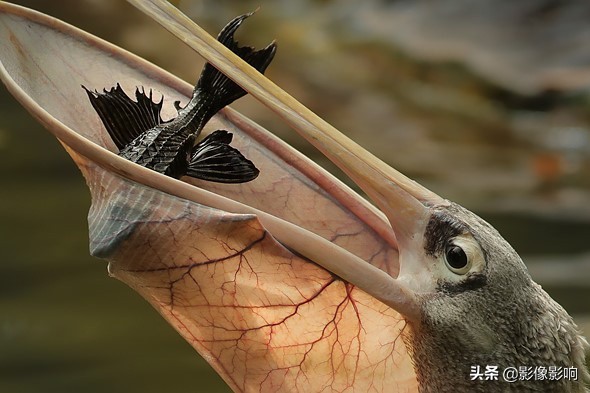 摄影金奖作品风景高清,风光摄影得奖照片