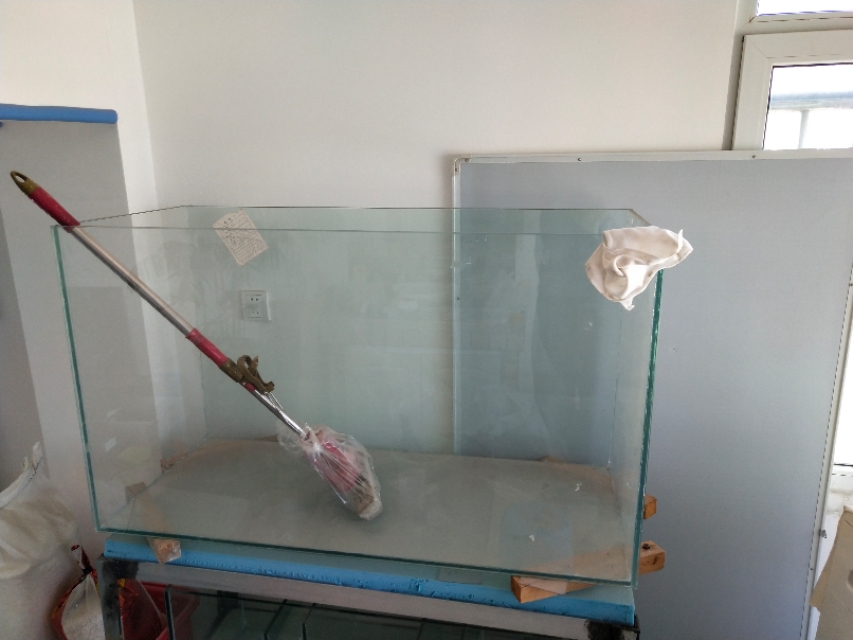 自粘鱼缸的使用寿命,自粘鱼缸有什么注意事项