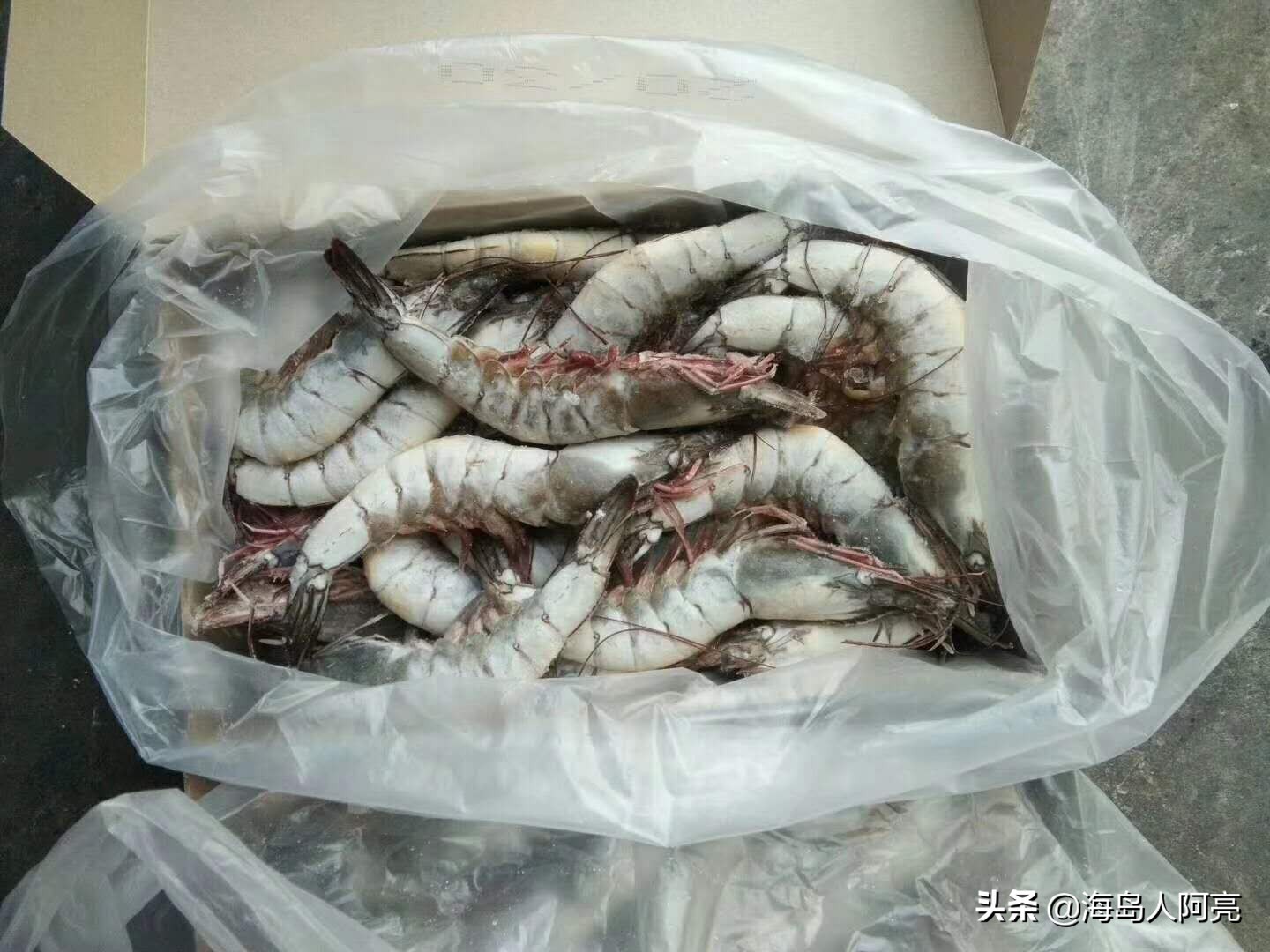 走进千家万户的海鲜~~~~虾（聊聊它身上的事，有点长坚持看完）