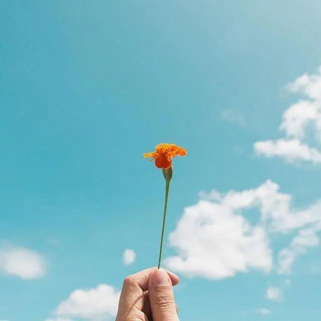 要对生活有希望的句子,一定要对生活充满阳光