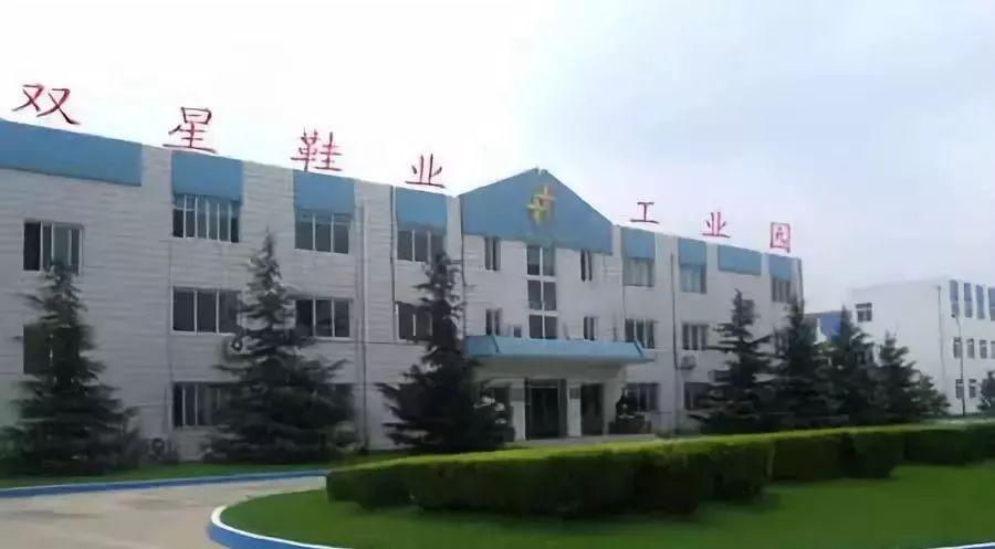 青岛双星有退市风险吗,青岛双星亏损案例