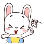 二代猫,二代猫咪