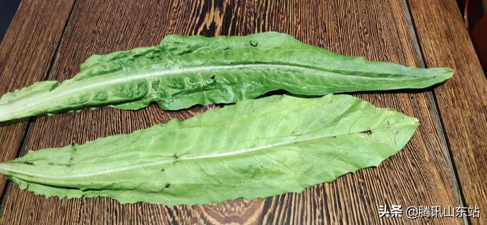 高性价比节能冰箱,性价比高的冰箱保鲜效果好的